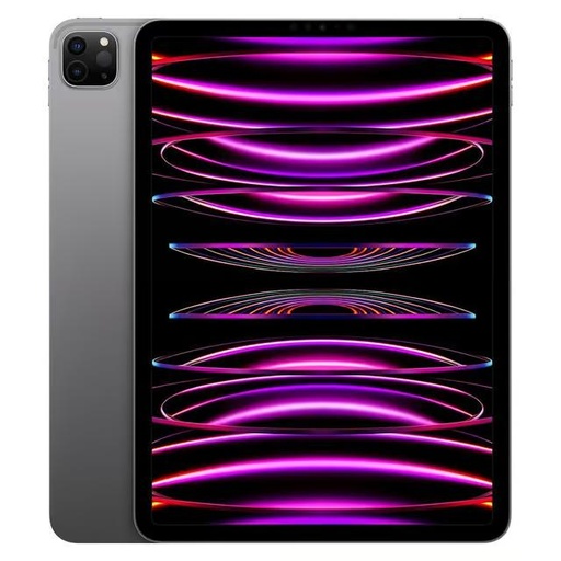 iPad Pro 11" (2022)